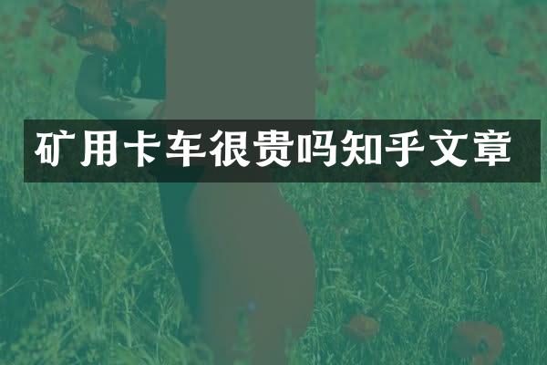 礦用卡車很貴嗎知乎文章
