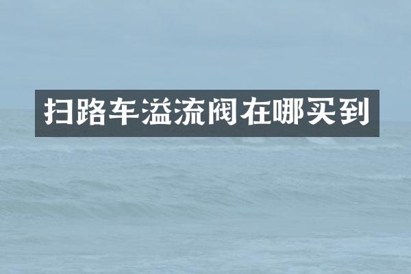 掃路車溢流閥在哪買到