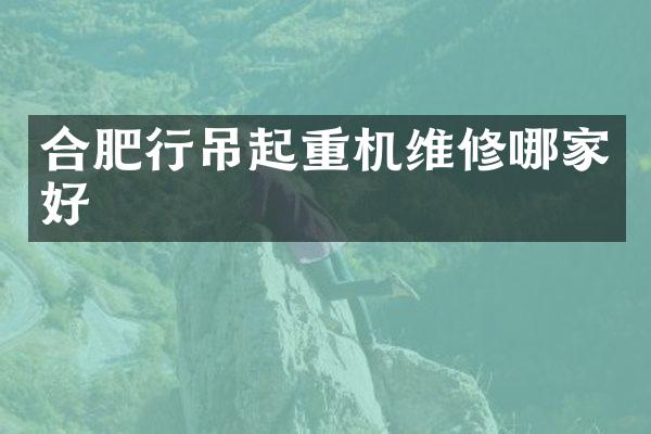 合肥行吊起重機維修哪家好