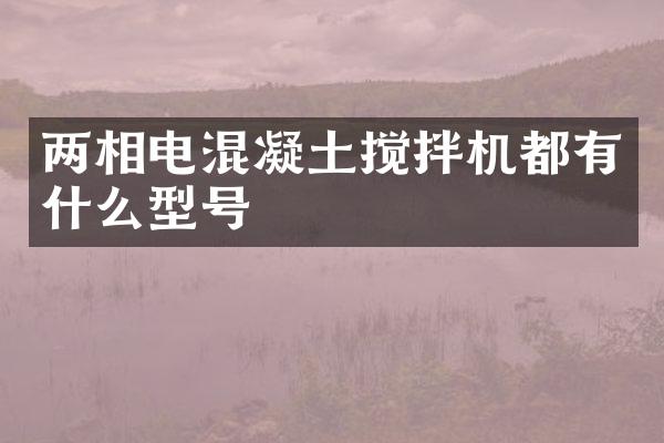 兩相電混凝土攪拌機都有什么型號