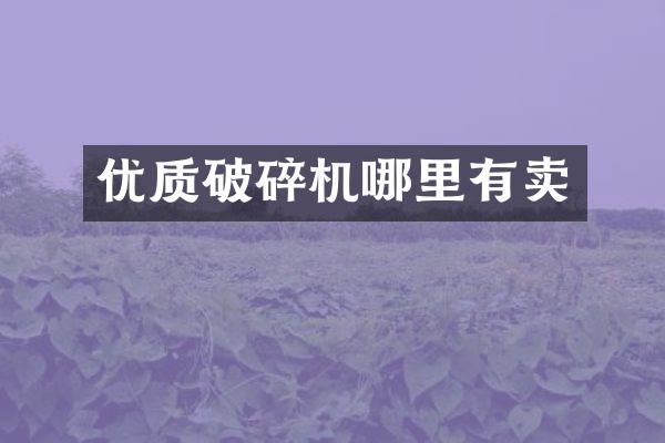 優(yōu)質(zhì)破碎機哪里有賣