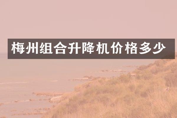 梅州組合升降機(jī)價(jià)格多少