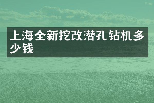 上海全新挖改潛孔鉆機(jī)多少錢