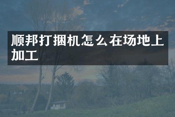 順邦打捆機(jī)怎么在場(chǎng)地上加工