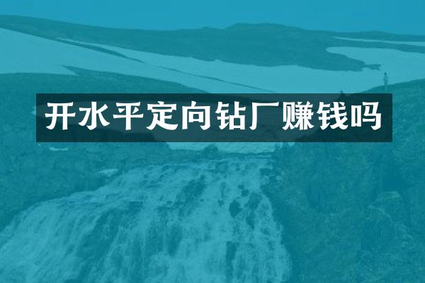 開水平定向鉆廠賺錢嗎