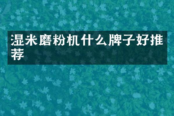 濕米磨粉機什么牌子好推薦