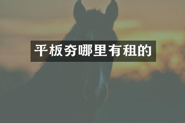 平板夯哪里有租的