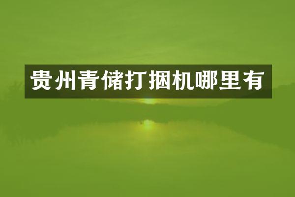 貴州青儲(chǔ)打捆機(jī)哪里有