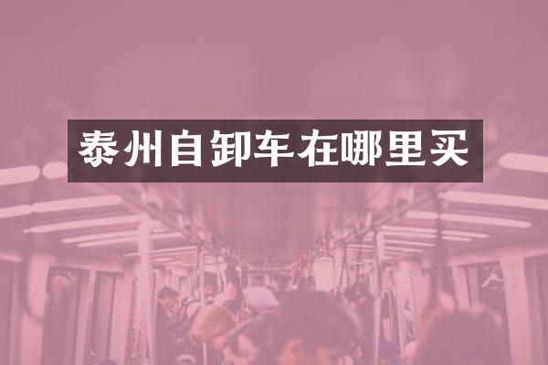 泰州自卸車在哪里買