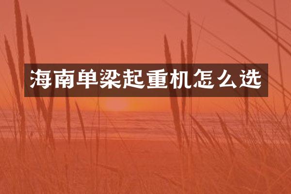 海南單梁起重機(jī)怎么選