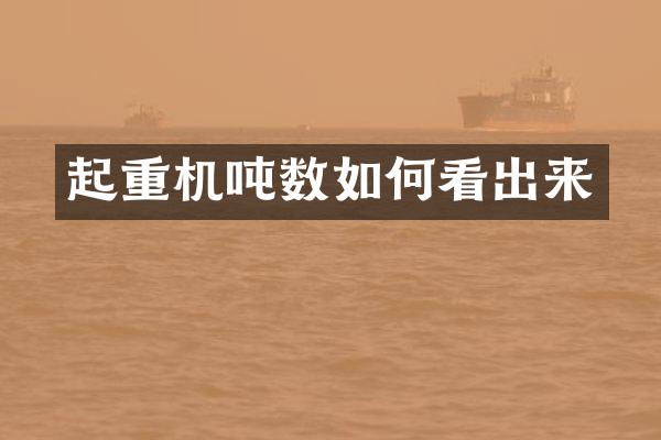 起重機(jī)噸數(shù)如何看出來