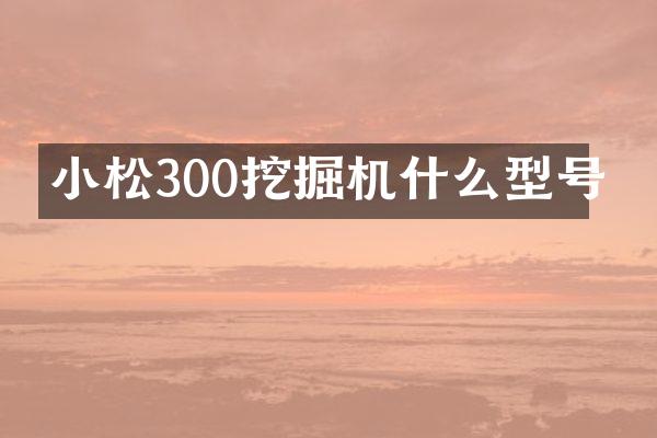 小松300挖掘機(jī)什么型號