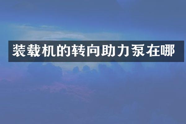 裝載機(jī)的轉(zhuǎn)向助力泵在哪
