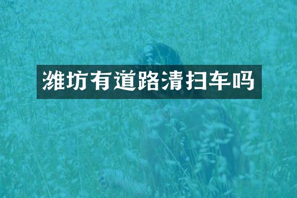 濰坊有道路清掃車嗎