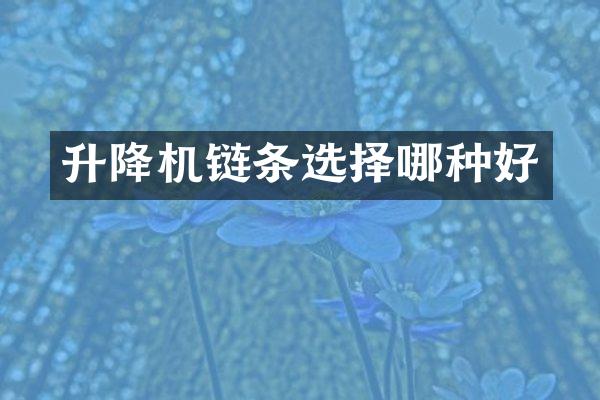 升降机链条选择哪种好