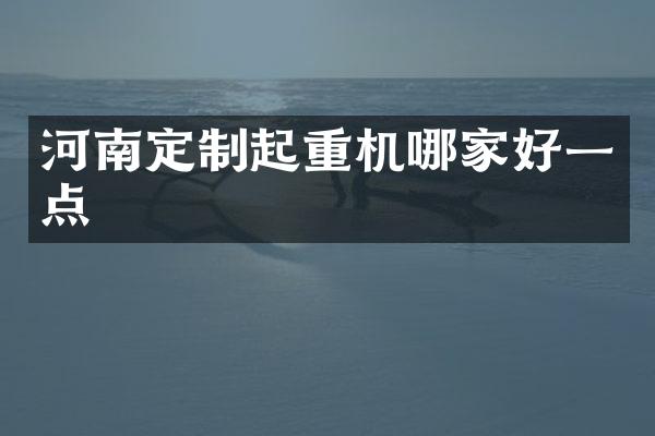河南定制起重機(jī)哪家好一點