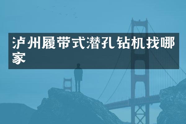 瀘州履帶式潛孔鉆機(jī)找哪家