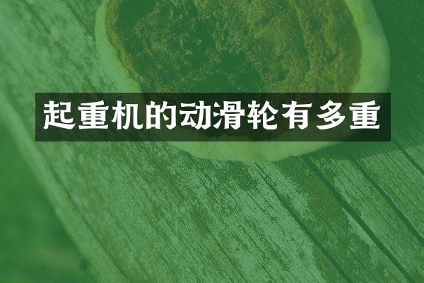 起重機(jī)的動(dòng)滑輪有多重