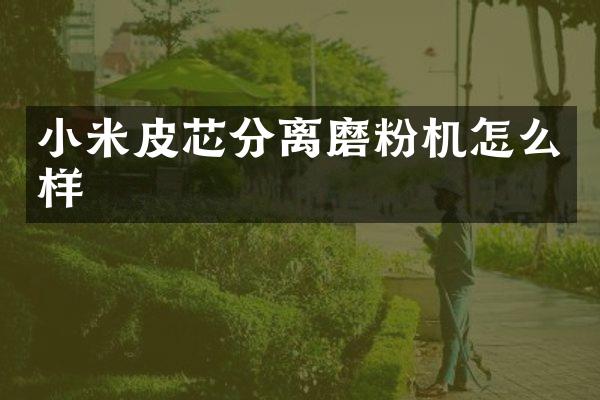 小米皮芯分离磨粉机怎么样