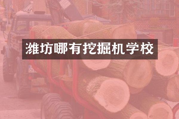 濰坊哪有挖掘機(jī)學(xué)校