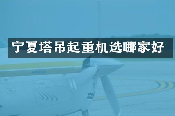 寧夏塔吊起重機(jī)選哪家好