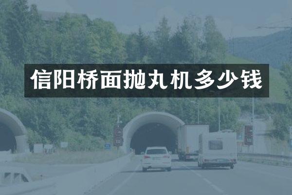 信陽橋面拋丸機(jī)多少錢