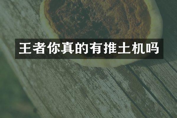 王者你真的有推土機(jī)嗎