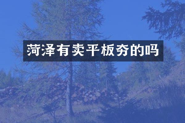 菏澤有賣(mài)平板夯的嗎