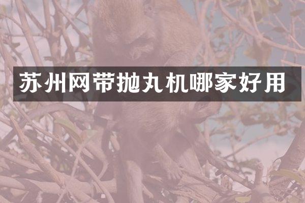 蘇州網(wǎng)帶拋丸機哪家好用