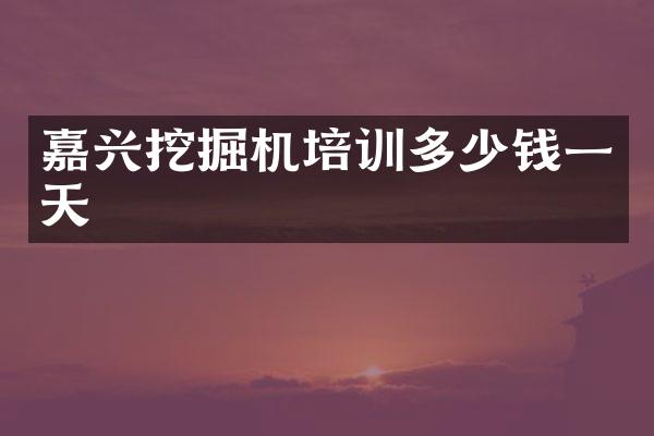 嘉兴挖掘机培训多少钱一天
