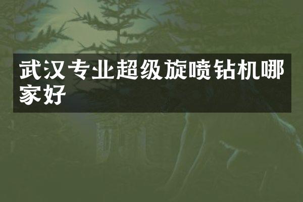 武漢專業(yè)超級旋噴鉆機哪家好