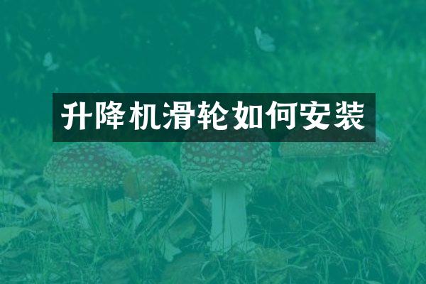 升降機(jī)滑輪如何安裝