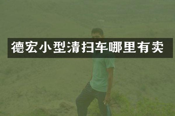 德宏小型清掃車哪里有賣