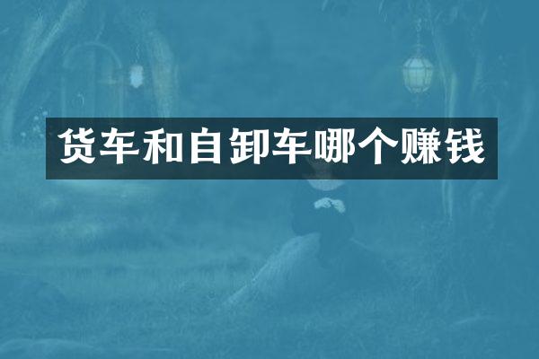 货车和自卸车哪个赚钱