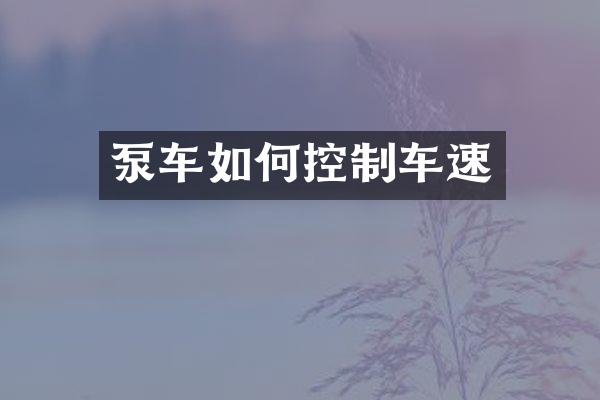 泵車如何控制車速