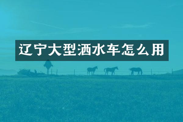 遼寧大型灑水車怎么用