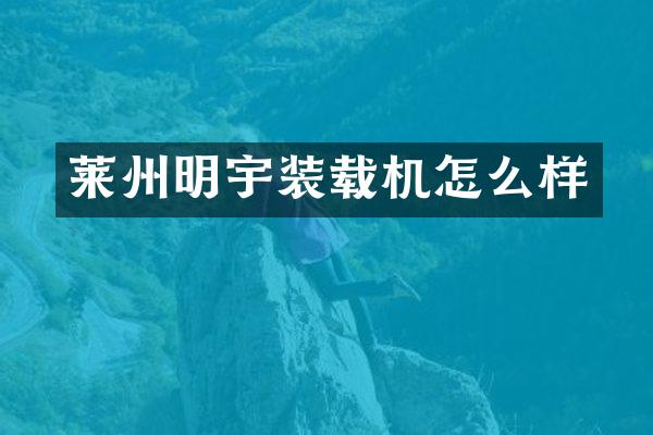 萊州明宇裝載機怎么樣