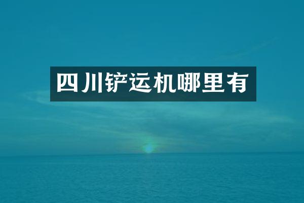 四川铲运机哪里有