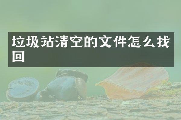 垃圾站清空的文件怎么找回