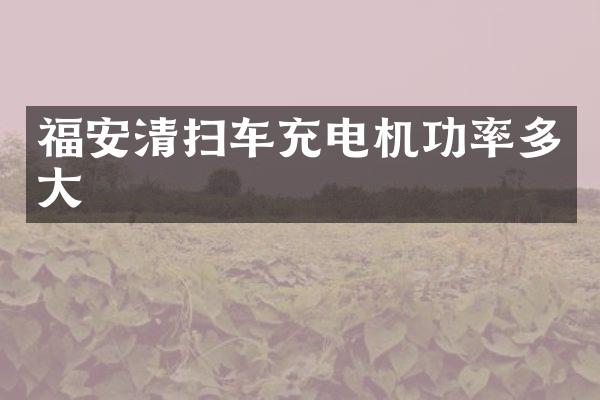 福安清掃車充電機(jī)功率多大