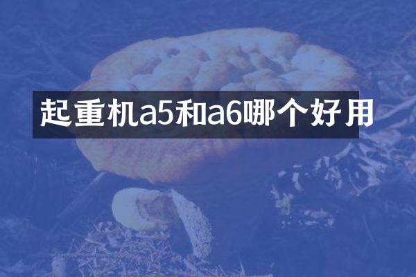 起重機(jī)a5和a6哪個(gè)好用