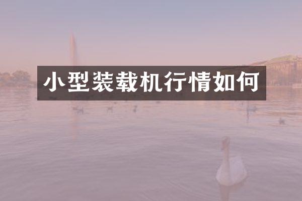 小型装载机行情如何