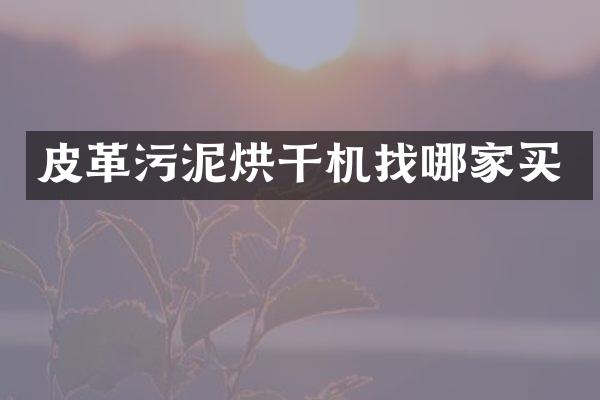 皮革污泥烘干機找哪家買