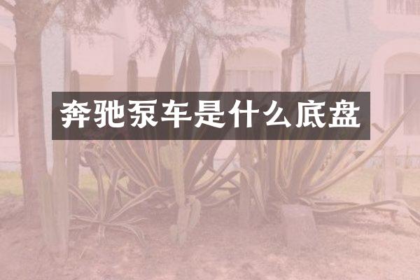 奔馳泵車是什么底盤