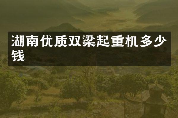 湖南優(yōu)質(zhì)雙梁起重機多少錢