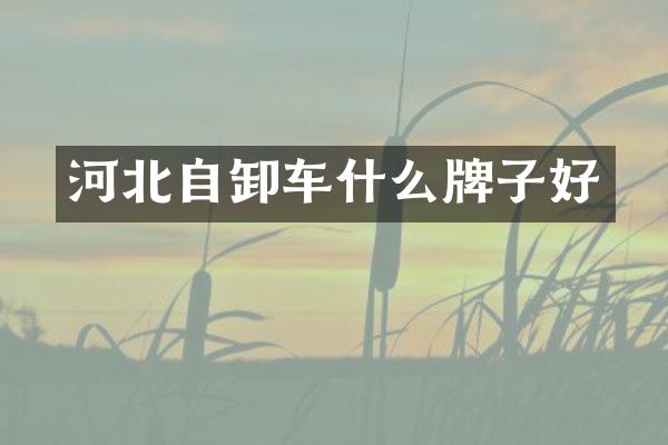 河北自卸車什么牌子好