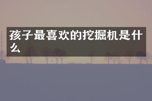 孩子最喜歡的挖掘機(jī)是什么