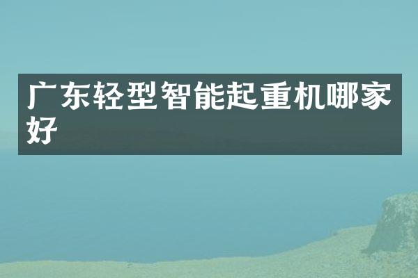 廣東輕型智能起重機(jī)哪家好
