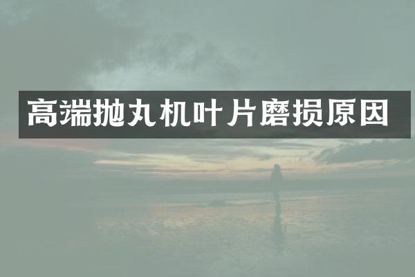 高端拋丸機(jī)葉片磨損原因