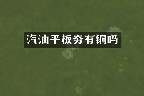 汽油平板夯有銅嗎